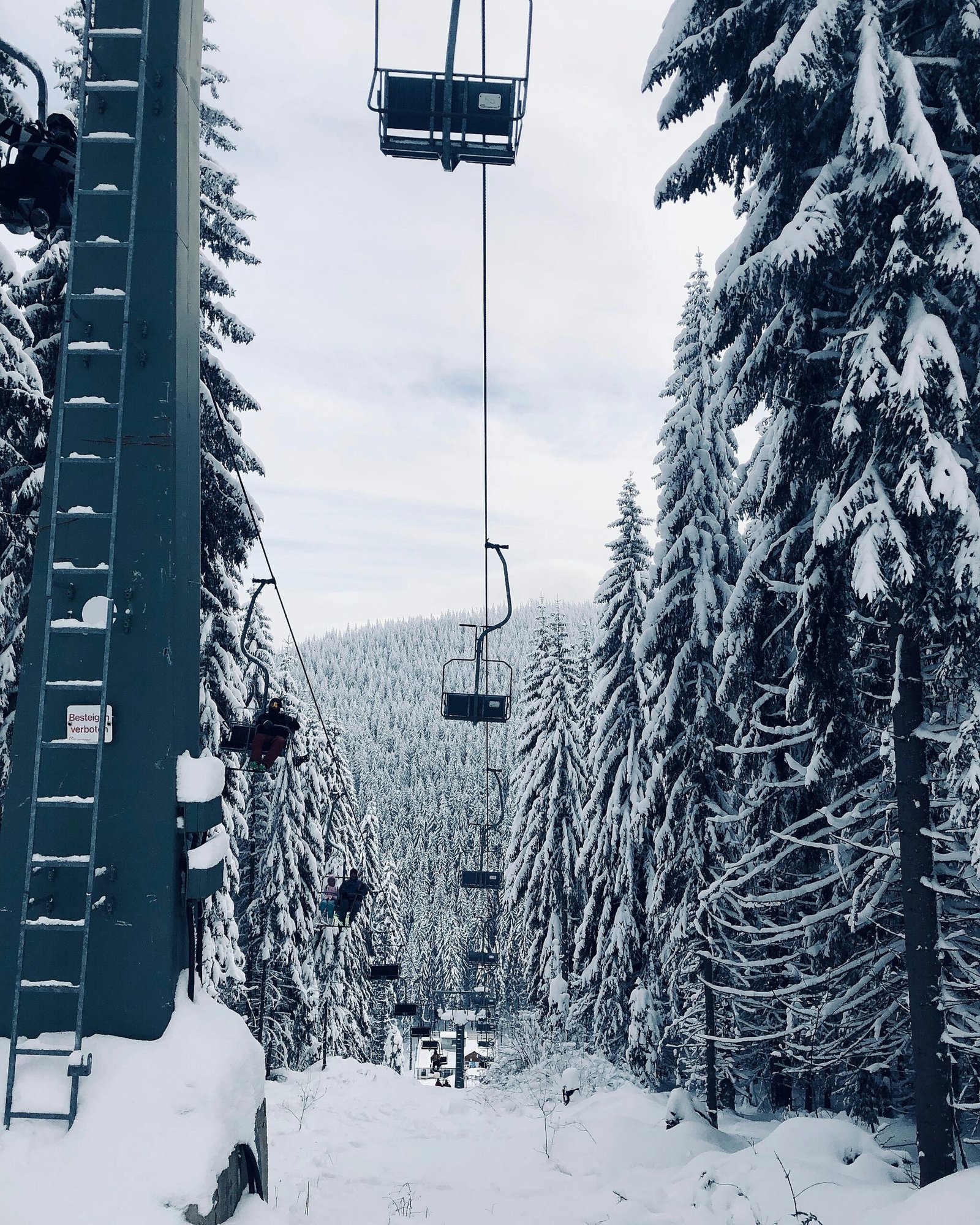 cable cart between trees